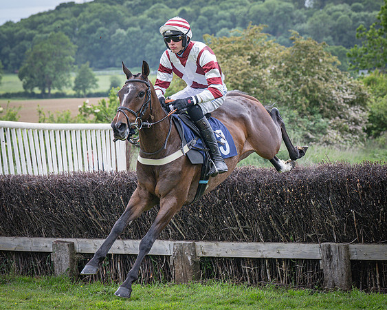Race 6 - 2M4F Maiden (21 of 85)