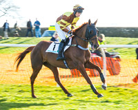 Race 5 - TBA members Mares and Fillies race (8 of 101).jpg