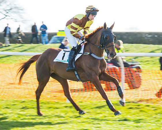 Race 5 - TBA members Mares and Fillies race (8 of 101).jpg