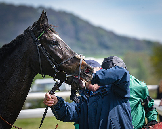 Race 3 - The Richardsons chartered Accountants Conditions Race [Level Three] for Novice Riders (106 of 117)