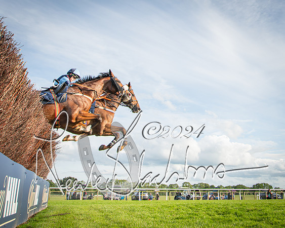 Race 3 - The pointtopoint.co.uk champion novices’ Hunter Chase (77 of 140)