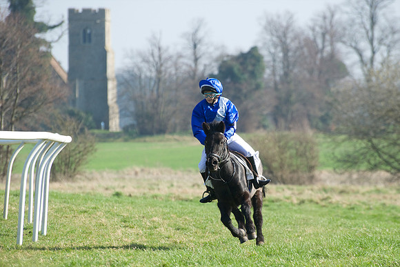 Pony Races -  17