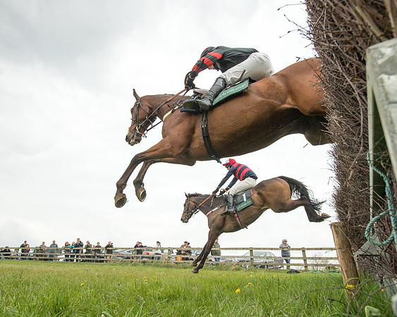 Race 2 - Jockey Club ROR veteran Horse (53 of 104)