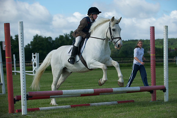 SOHS PC Summer Show at BCA 17th June 2012