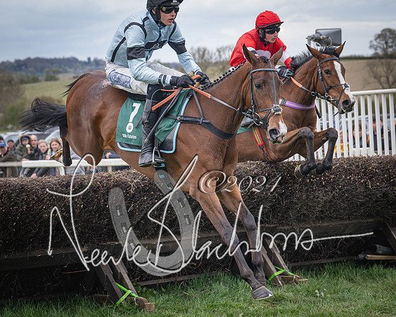 Race 2 - Tattersalls Cheltenham 4 year old Maiden (31 of 85)