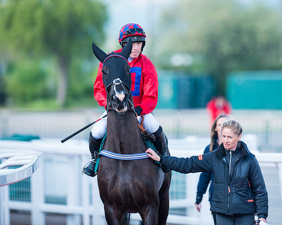 Race 1 - The open Hunter chase  (40 of 95)