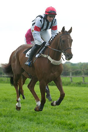 Race 6 -  14