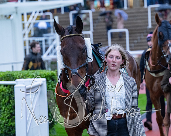 Race 7 - Glos Hussars (11 of 220)