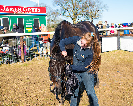Race 5 - Novice riders (187 of 201)