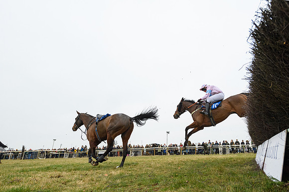 Race 4 - Ladies Open  (34 of 91)