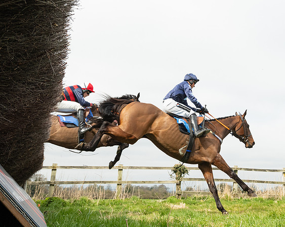Race 2 - Veteran Horse (17 of 153)