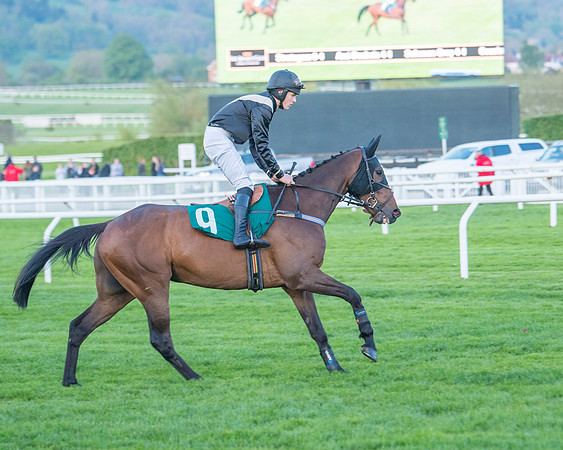 Race 7 - Glos Hussars  (59 of 245)