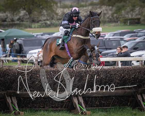 Race 3 - 5 years old and Over Maiden Race (41 of 130)