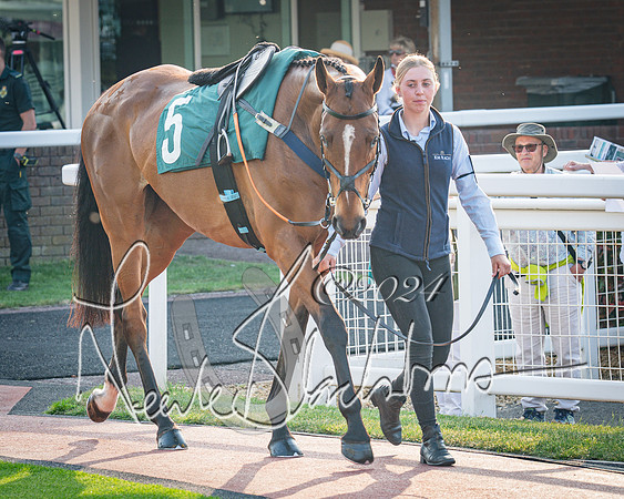 Race 4 - The Jonathan Neesom memorial open Hunter’s steeplechase 3m2f 70y (16 of 167)