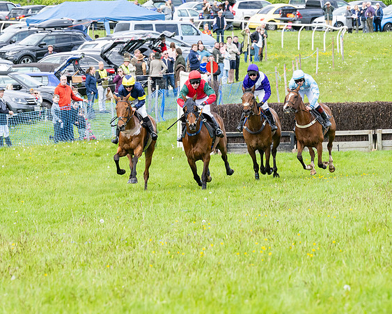 Race 2 - Veteran Horse (38 of 80)