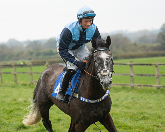 Race 3 - Open maiden  (38 of 273)