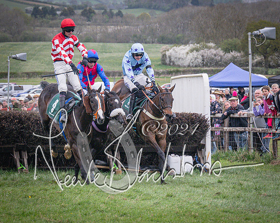 Race 6 - The Restricted Race (71 of 101)
