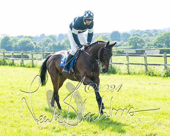 Race 5  - Maiden race 2m5F Div-2 (74 of 205)