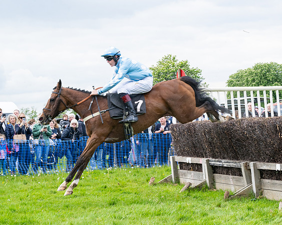 Race 2 - Veteran Horse (22 of 80)