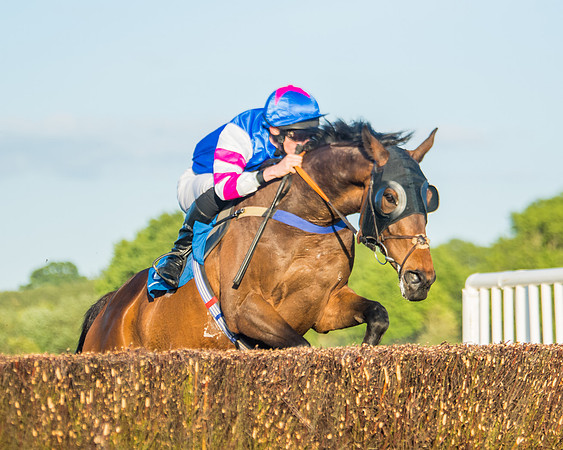 Race 5 - White Swan Hotel Handicap (40 of 80)