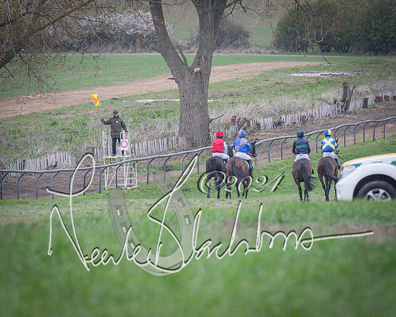 Race 7 - The Jockey Club maiden race for Mares and Fillies only (33 of 96)