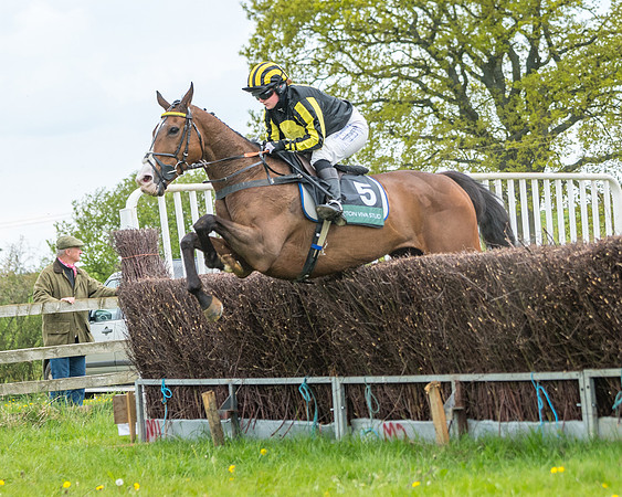 Race 2 - Jockey Club ROR veteran Horse (63 of 104)
