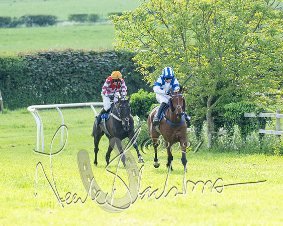 Race 5  - Maiden race 2m5F Div-1 (153 of 197)