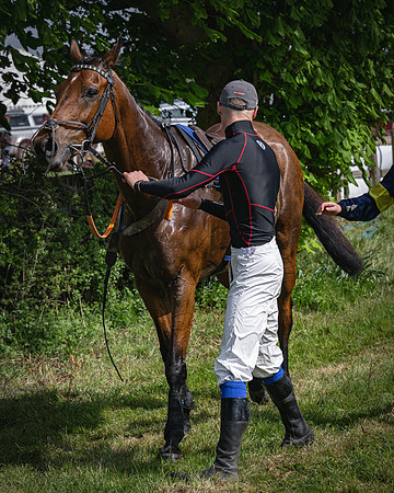 Race 3 - The Richardsons chartered Accountants Conditions Race [Level Three] for Novice Riders (108 of 117)