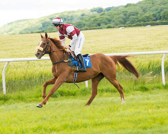 Race 1 - Owner Trainer Conditions  (37 of 133)