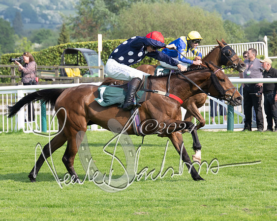 Race 1 - The Bottle Green Open Hunters steeplechase 2m62y (62 of 93)