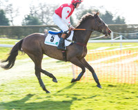 Race 5 - TBA members Mares and Fillies race (3 of 101).jpg