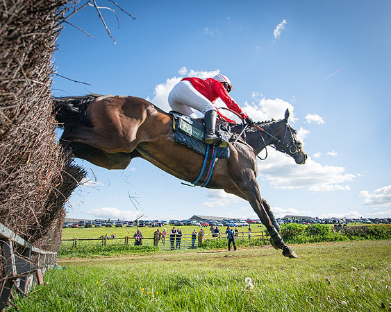 Race 5 - F N Pile and Sons PPORA Novice Riders (78 of 151)