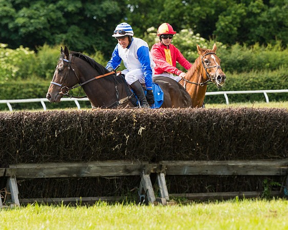 Race 5 - Restricted  (35 of 136)