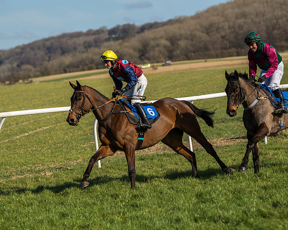 Race 1 - Open Maiden Division 2 (14 of 173)