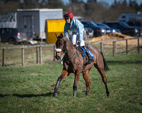 Race 1 - Veteran Horse (4 of 62)