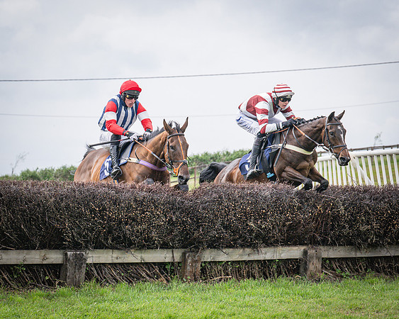 Race 6 - 2M4F Maiden (35 of 85)