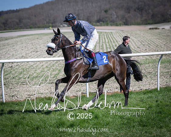 Race 2 - The Maiden (39 of 118)