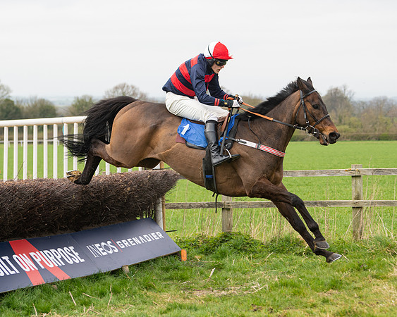 Race 2 - Veteran Horse (116 of 153)