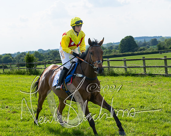 Race 5  - Maiden race 2m5F Div-1 (73 of 197)