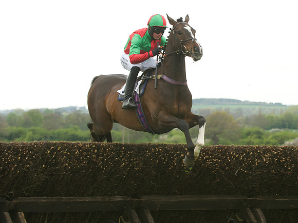 Kimblewick Hunts Point to Point at Kingston Blount Racecourse on Saturday 12th April 2014 Race 1 Confined Hunts Race.