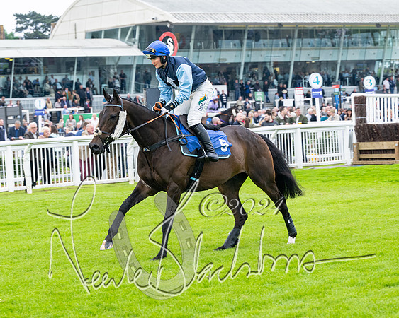 Race 3 - John Corbet Cup  (11 of 108)
