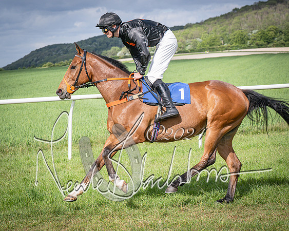 Race 4 - The Dickie Lim Mixed Open Race (15 of 101)