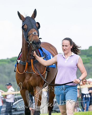 Race 2 - Restricted  (60 of 308)