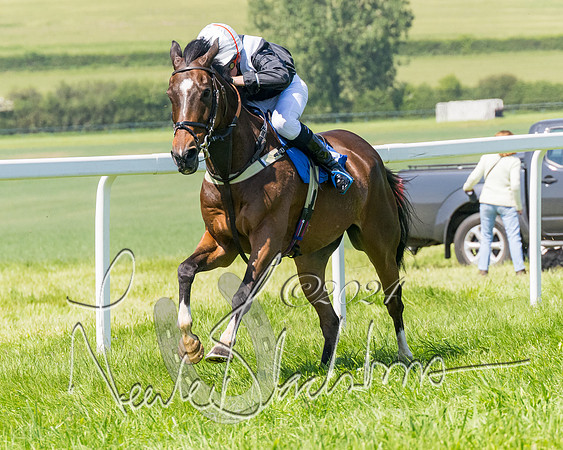 Pony Races  (98 of 141)
