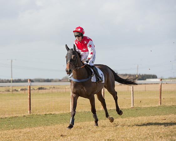 Race 1 - 4-5-6 Maiden (52 of 119).jpg