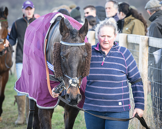 Race 5 - Home counties Grand National (11 of 194)