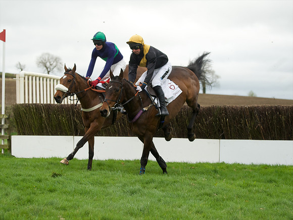 Race 1 Members - 36