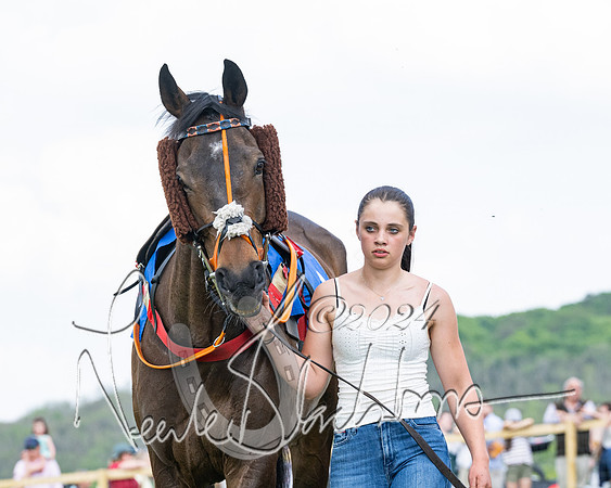 Race 2 - Restricted  (93 of 308)