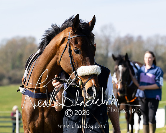 Race 1 - Maiden (12 of 188)