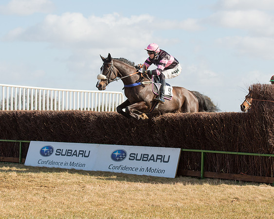 Race 1 - 4-5-6 Maiden (67 of 119).jpg